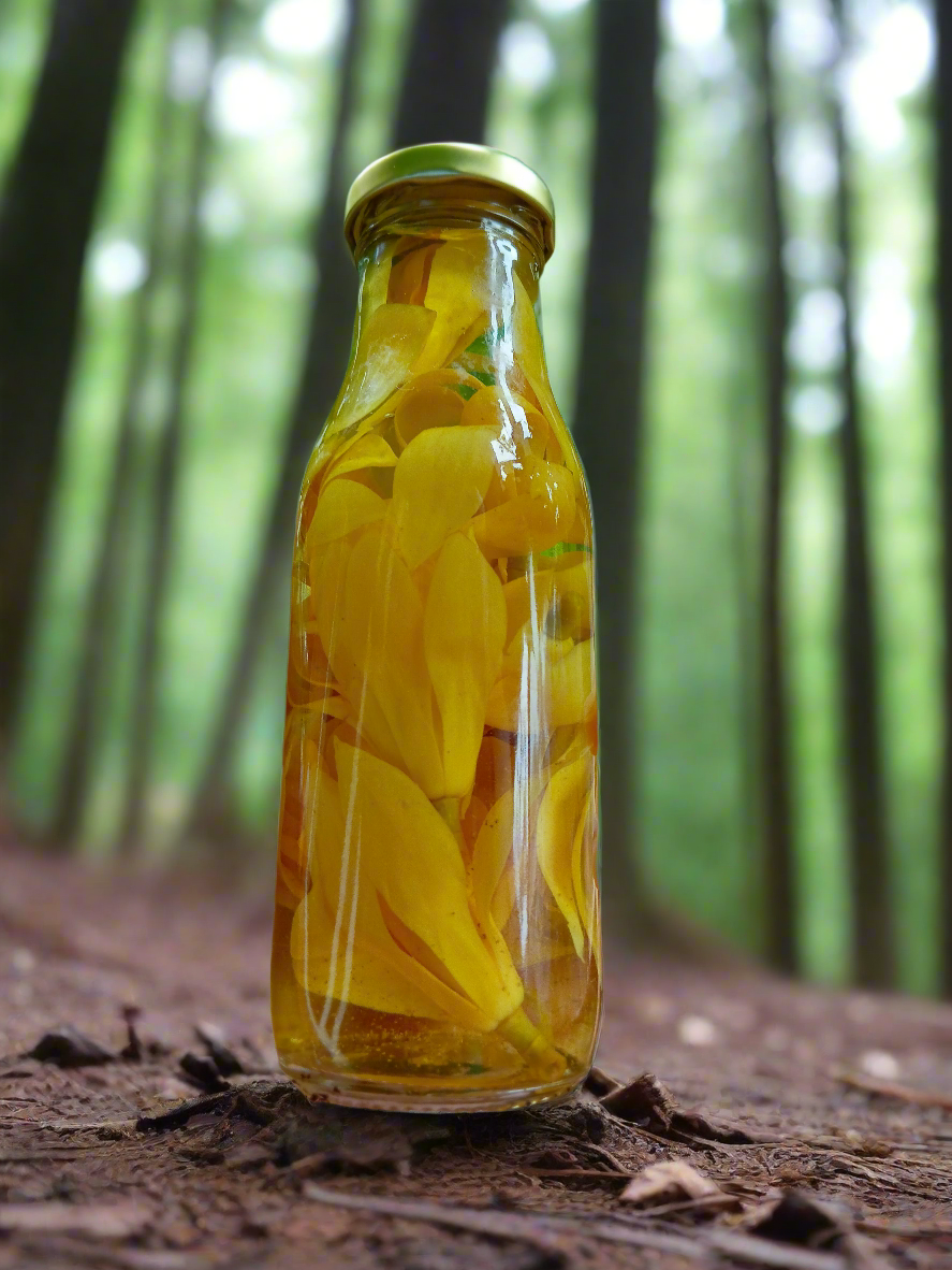 Sonchafa Bottle ๐ผ๐
